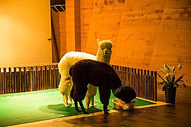 《心灵杀手2》新8分钟游玩视频 女探员持手电筒战斗